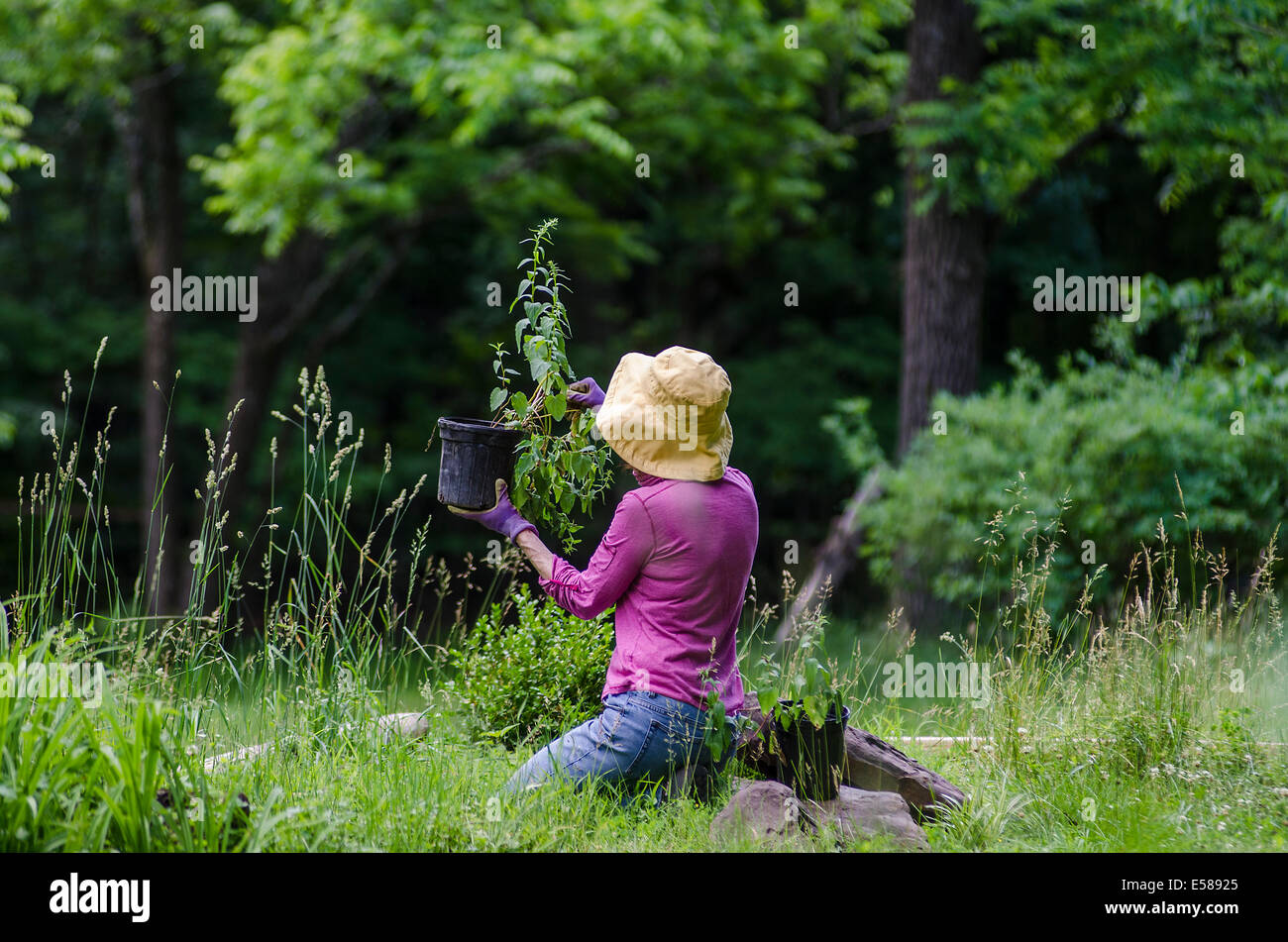 Frau kniend im Garten halten Topfpflanze Stockfoto