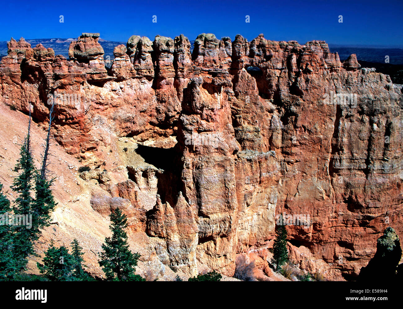 Schwarz-Birke Canyon overlook, Bryce Canyon, Utah Stockfoto