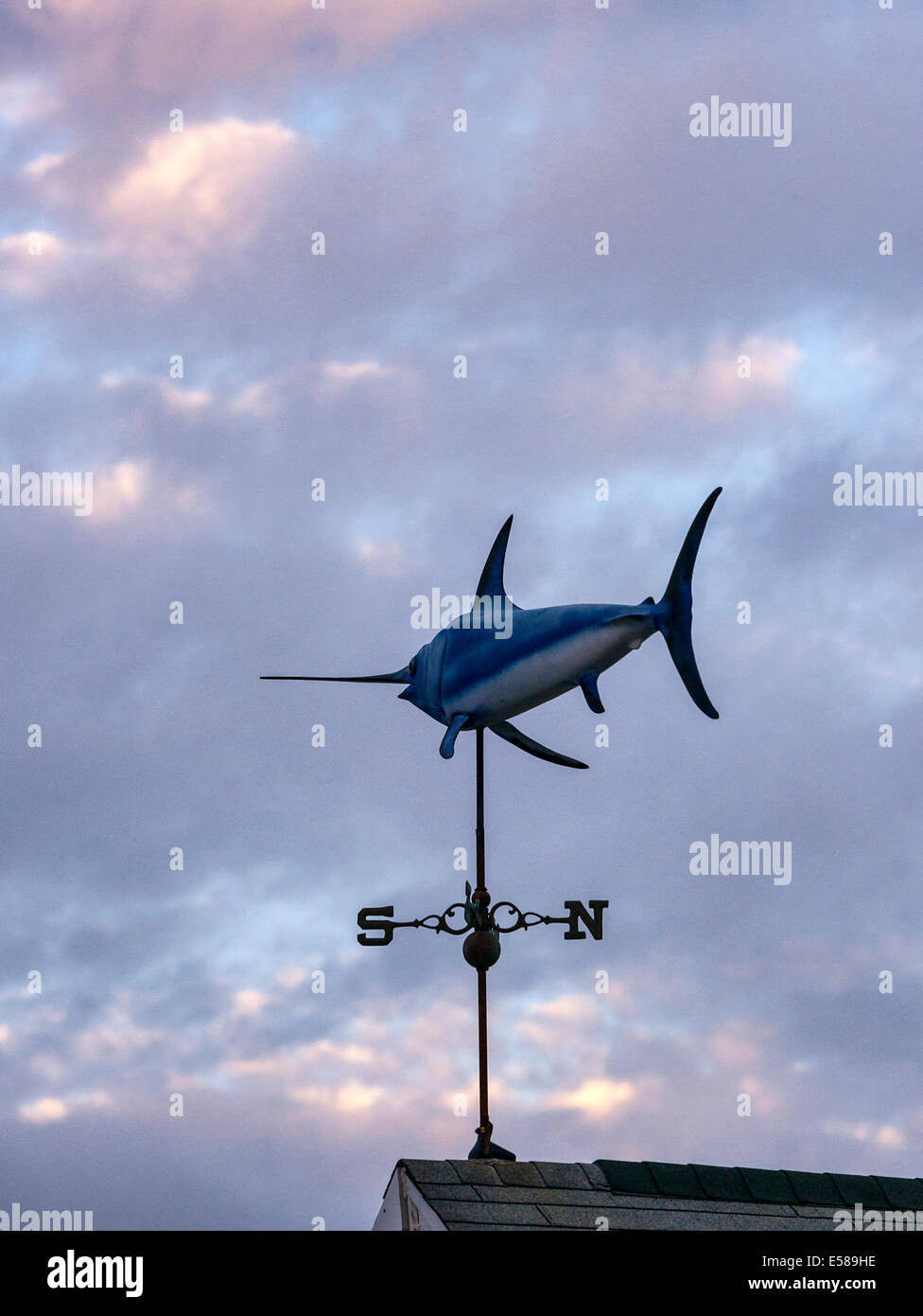 Schwertfisch Wetterfahne. Stockfoto