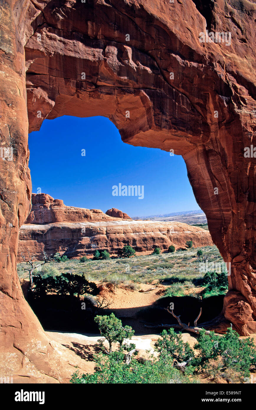 Pine Tree Arch, Arches-Nationalpark, Utah Stockfoto