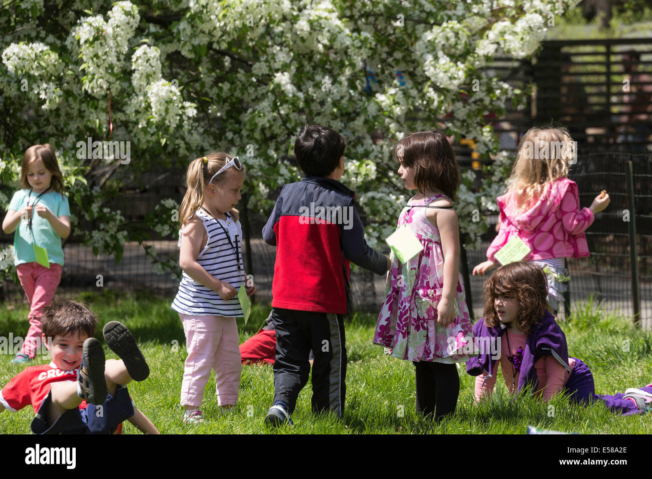 Spielende Kinder, Grundschule Klasse Ausflug, Central Park, New York, USA Stockfoto