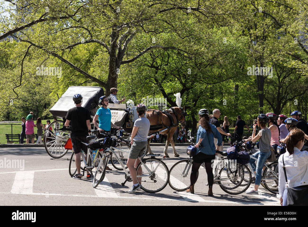 Freizeitbeschäftigung, Mittenantrieb, Central Park, New York Stockfoto