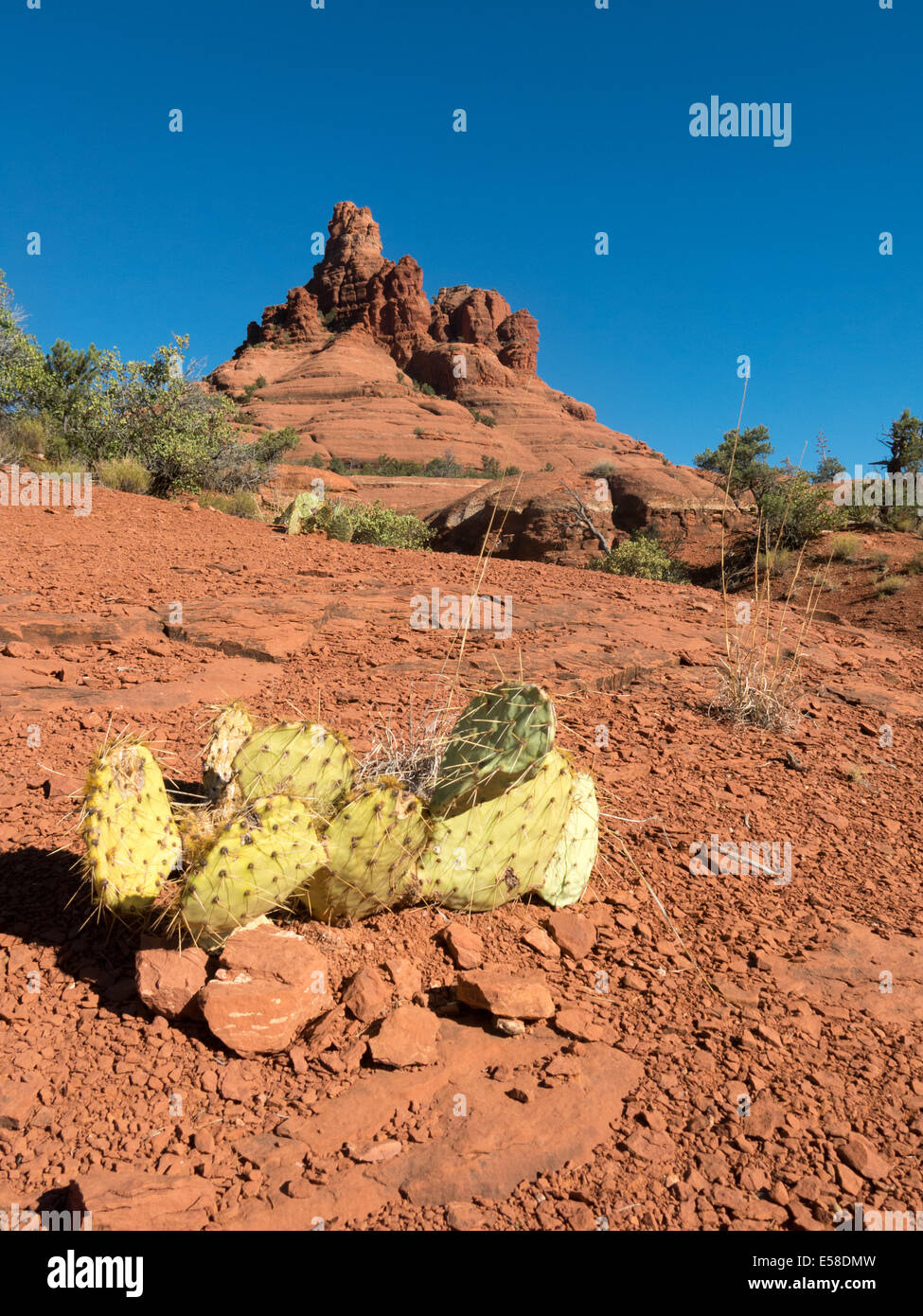 Bell Rock ist eines der vielen spektakulären Felsformation um Sedona (Arizona, USA), New-Age-Adepten Energiewirbel genießen Stockfoto