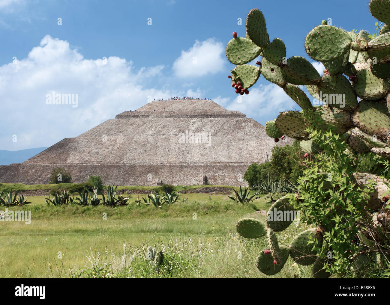 Pyramide der Sonne und Feigenkaktus, Teotihuacan, Mexiko Stockfoto