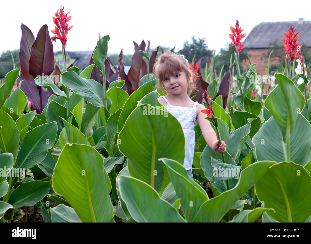 süßes kleines Mädchen in einem Feld mit Blumen Stockfoto