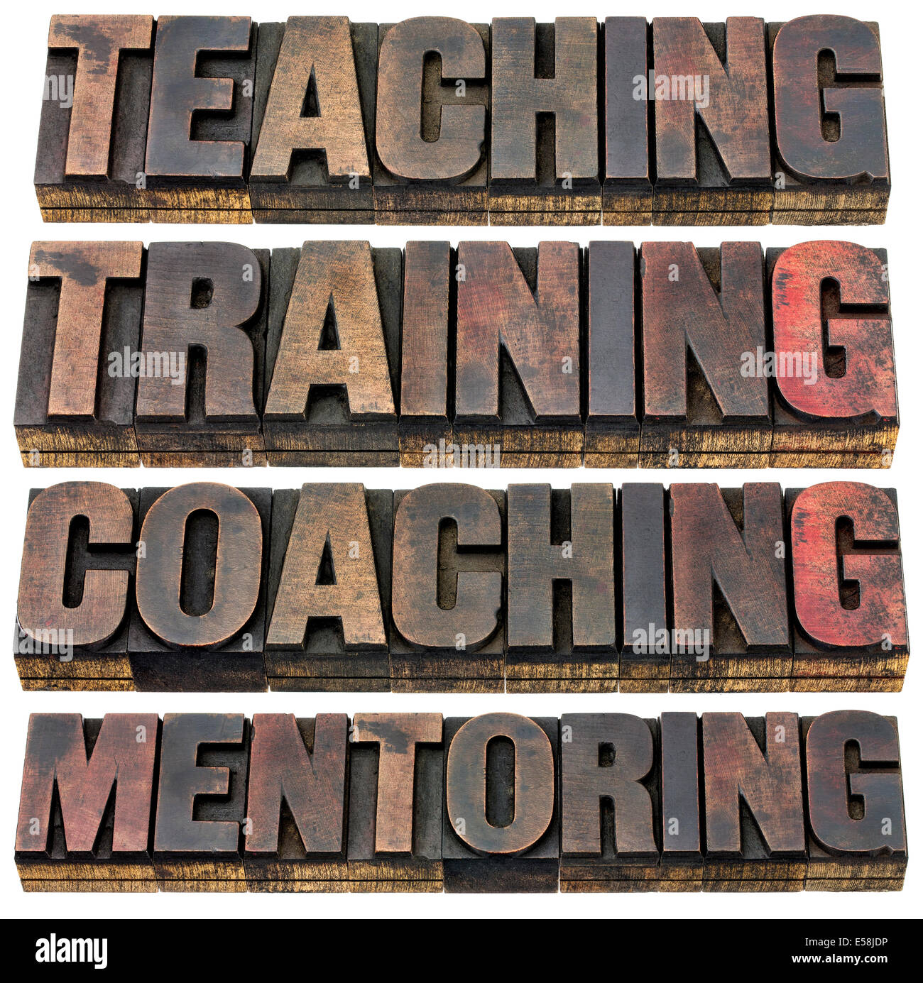 Unterricht, training, coaching und mentoring - eine Collage von isolierten Wörtern in Vintage Buchdruck Holzart mit Tinte patina Stockfoto