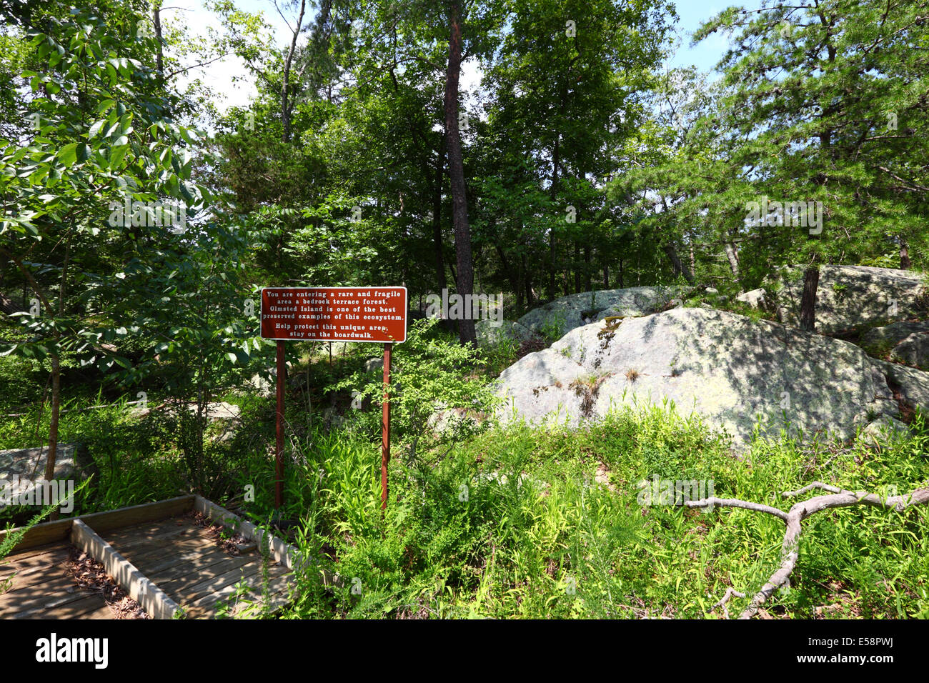 Hinweisschild, beschreibt Grundgestein Terrasse Waldökosystem neben Potomac River Great Falls, Olmsted Island, Maryland, USA Stockfoto