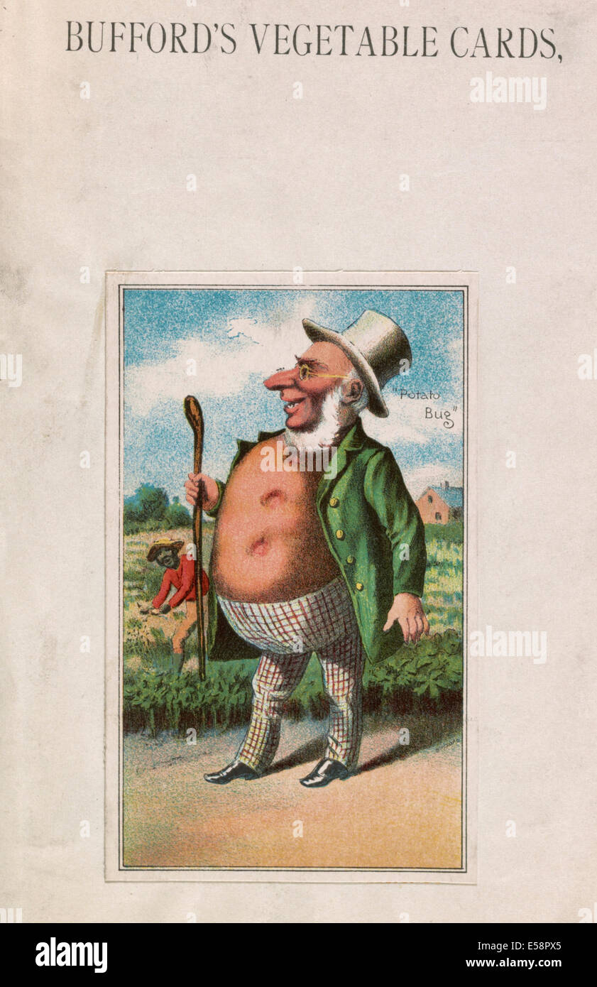 Bufford des pflanzlichen Karten, Kartoffel - ein Alter Mann mit einem Körper geformt wie eine Kartoffel, nach links, trägt einen Zylinderhut, grünen Mantel und Hose, die ein Karomuster haben, und tragen einen Spazierstock mit einem afrikanischen amerikanischen Mann stehend unter Kartoffelpflanzen im Hintergrund. Stockfoto