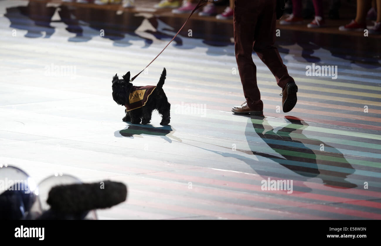 Glasgow, Schottland. 23. Juli 2014. Einem Scottish Terrier geht mit seinem Führer als Team Namen Träger während der Eröffnungsfeier der XX Commonwealth Games im Celtic Park in Glasgow 23. Juli 2014. Bildnachweis: Wang Lili/Xinhua/Alamy Live-Nachrichten Stockfoto