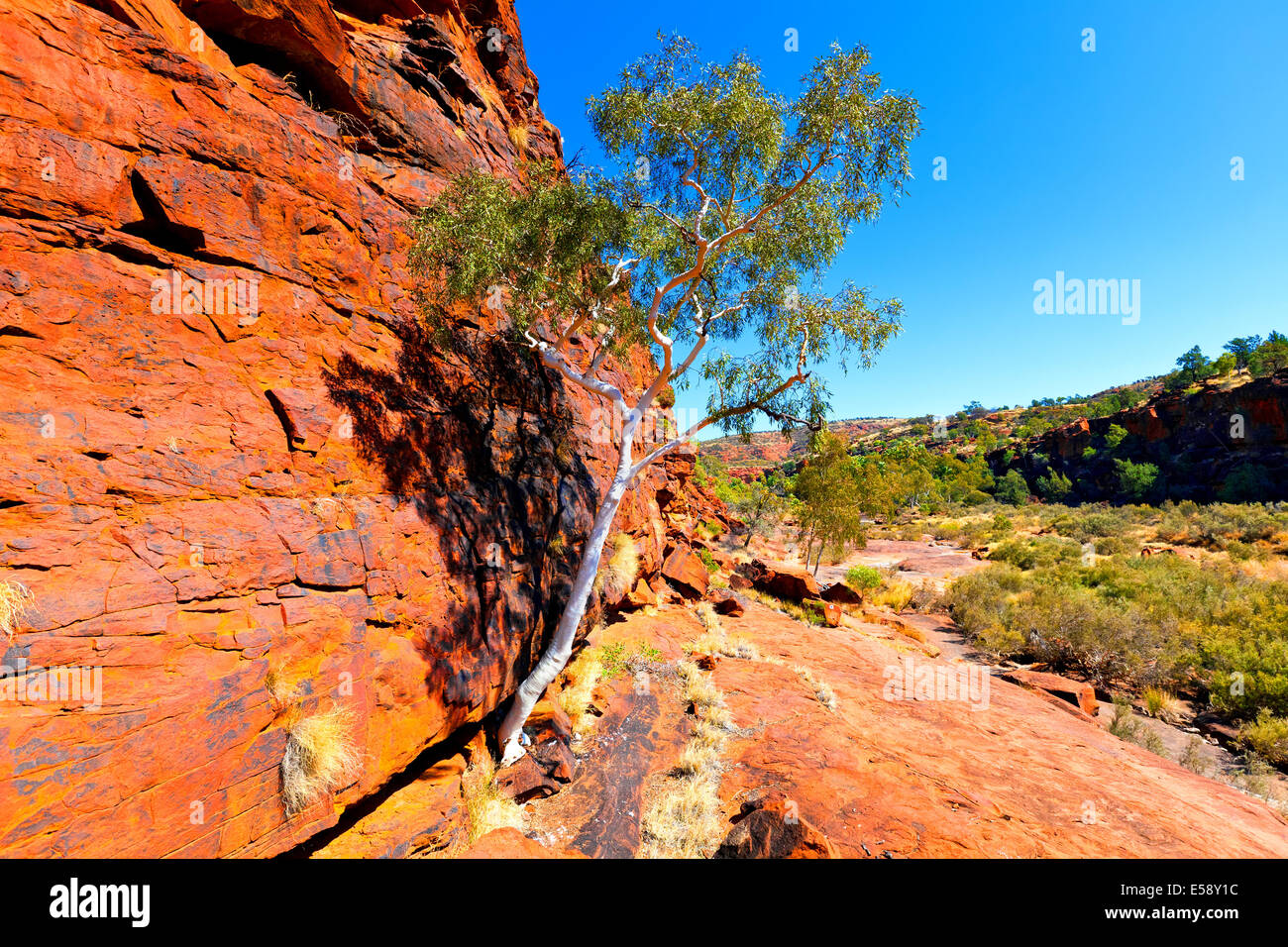 Palm Valley Central Australia Northern Territory Stockfoto