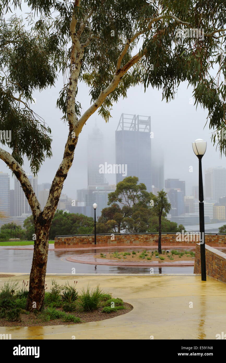 Kings Park mit Blick auf Perth City an einem nassen Wintertag, Western Australia. Stockfoto