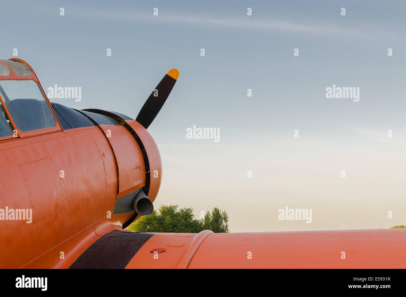 Abenteuer in den Himmel, altes Flugzeug, Orange, North American T - 6G Texan Stockfoto