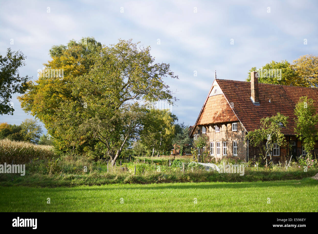 Deutschland, Nordrhein-Westfalen, Petershagen-Bierde, alten traditionellen westfälischen Bauernhaus Stockfoto