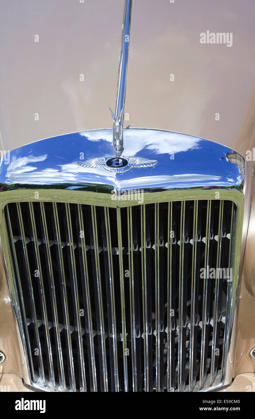 Transport, Autos, alte, klassische Auto-Show, Kühlergrill von einem Bentley. Stockfoto