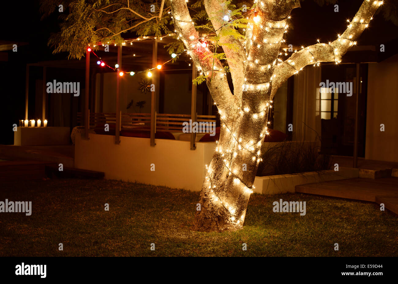 Baum im Garten nachts beleuchtet Stockfoto