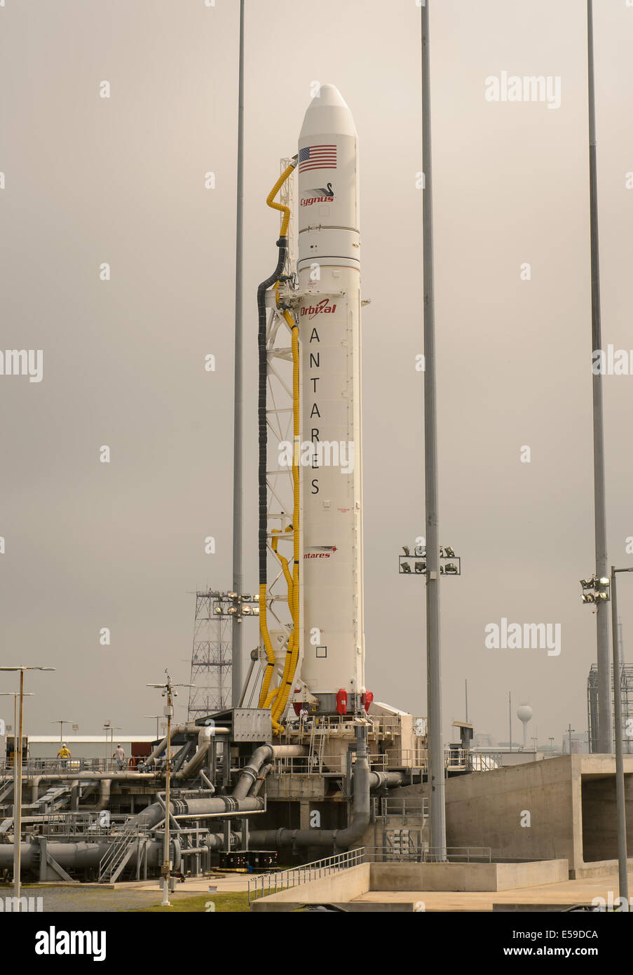 Die Orbital Sciences Corporation Antares-Rakete mit dem Cygnus Raumschiff an Bord, ist auf Startrampe-0A, Freitag, 11. Juli 2014, bei der NASA Wallops Flight Facility in Virginia zu sehen. Die Antares startet mit dem Cygnus Raumschiff gefüllt mit mehr als 3.000 Stockfoto