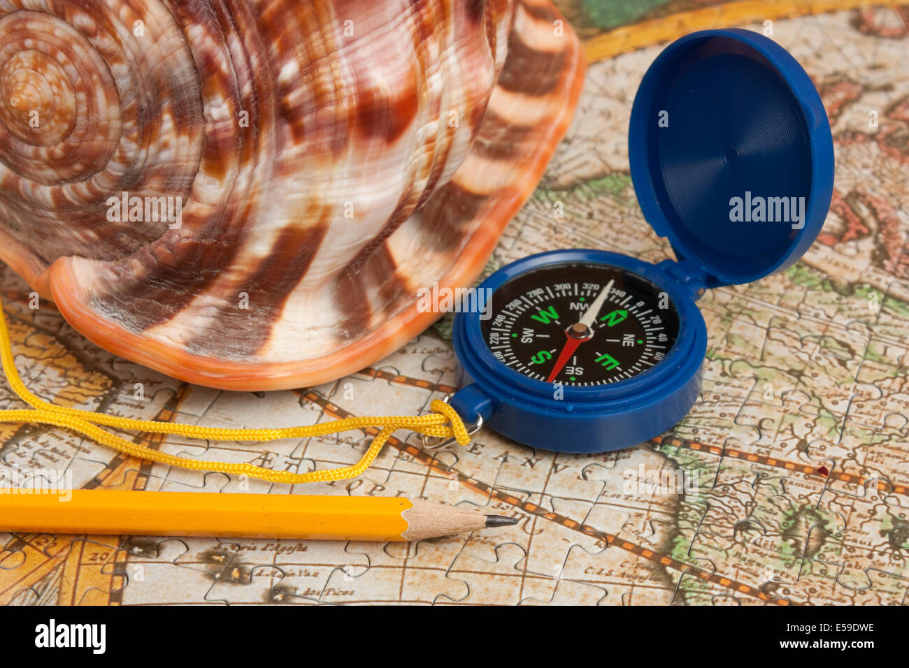 Kompass und Muschel auf der Karte Stockfoto