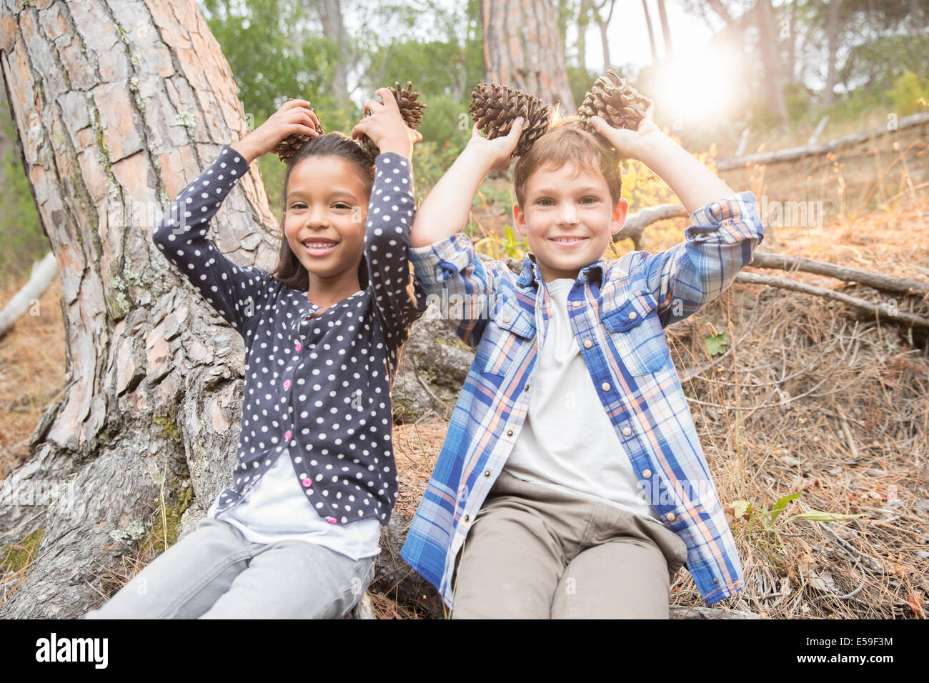 Kinder spielen mit Tannenzapfen im Wald Stockfoto