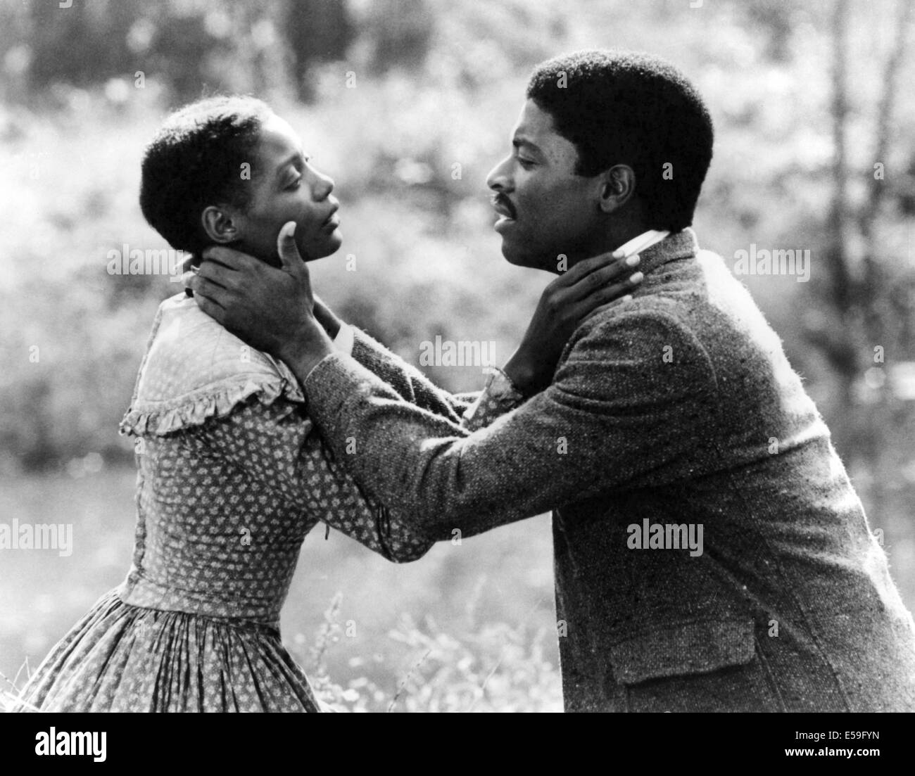 FREEDOM ROAD (1979) (TVM) ALFRE WOODARD, WILLIAM ALLEN YOUNG, JAN KADAR (DIR) FRR 008 MOVIESTORE COLLECTION LTD Stockfoto