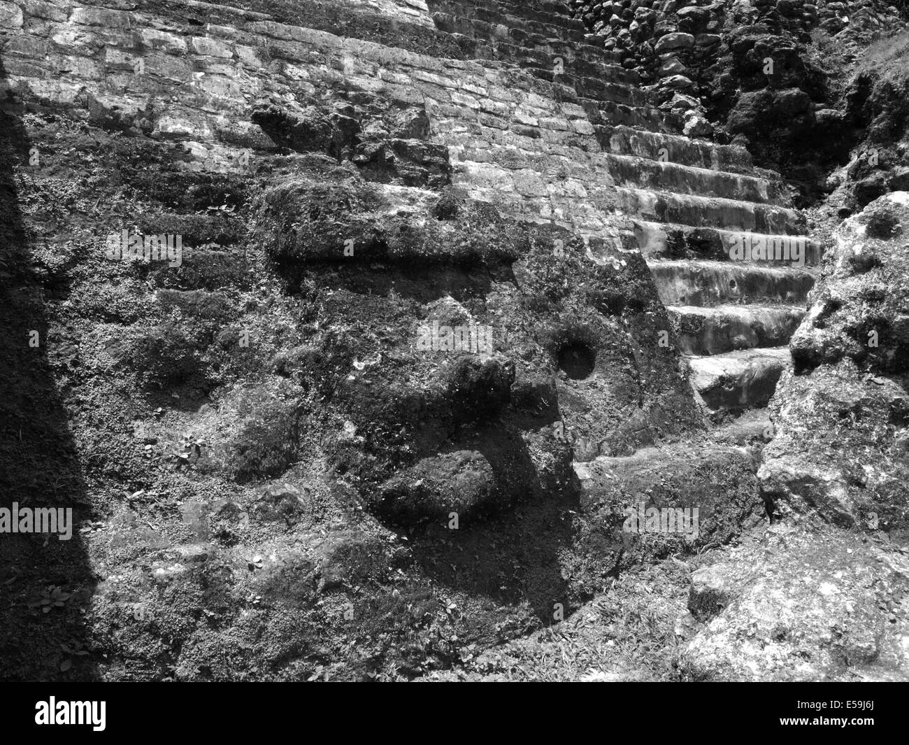 Nahaufnahme von einem geschnitzten Stein Gesicht an der Fassade des hohen Tempels von Lamanai Stockfoto