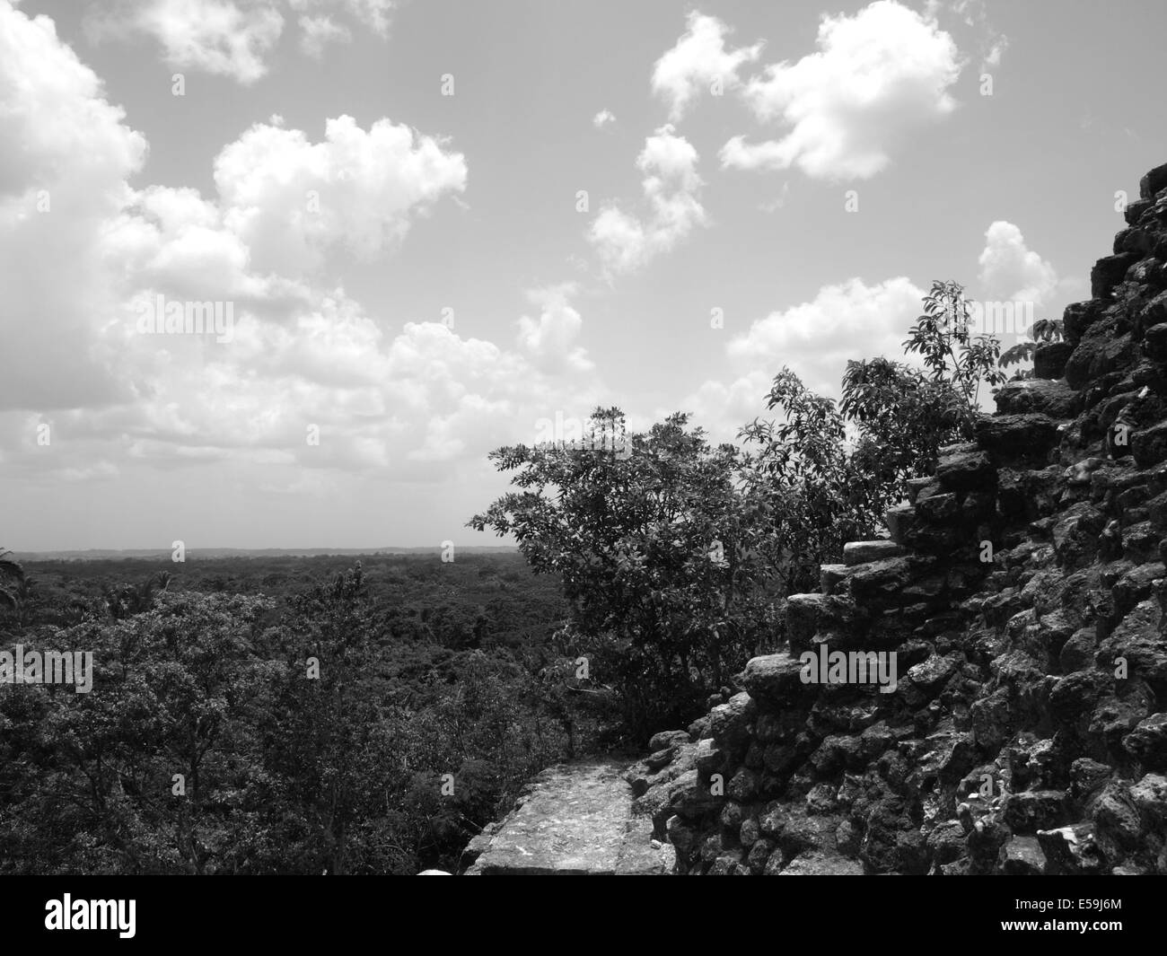 Seite des hohen Tempels von Lamanai in Belize mit Blick auf den Regenwald Stockfoto