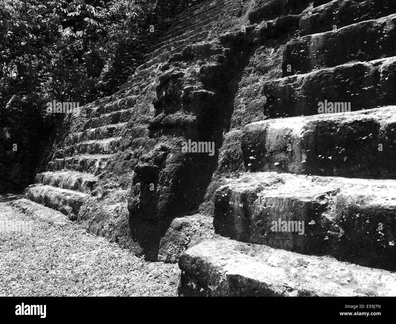Stein-Gesicht an der Fassade des Tempels High von Lamanai, Belize Stockfoto