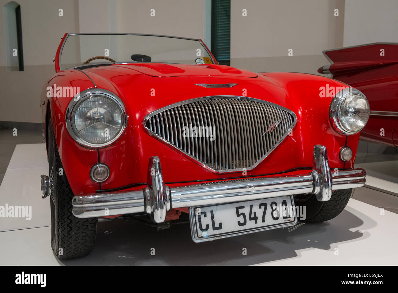 Austin-Healey 100/4, Franschhoek Motor Museum, South Africa Stockfoto