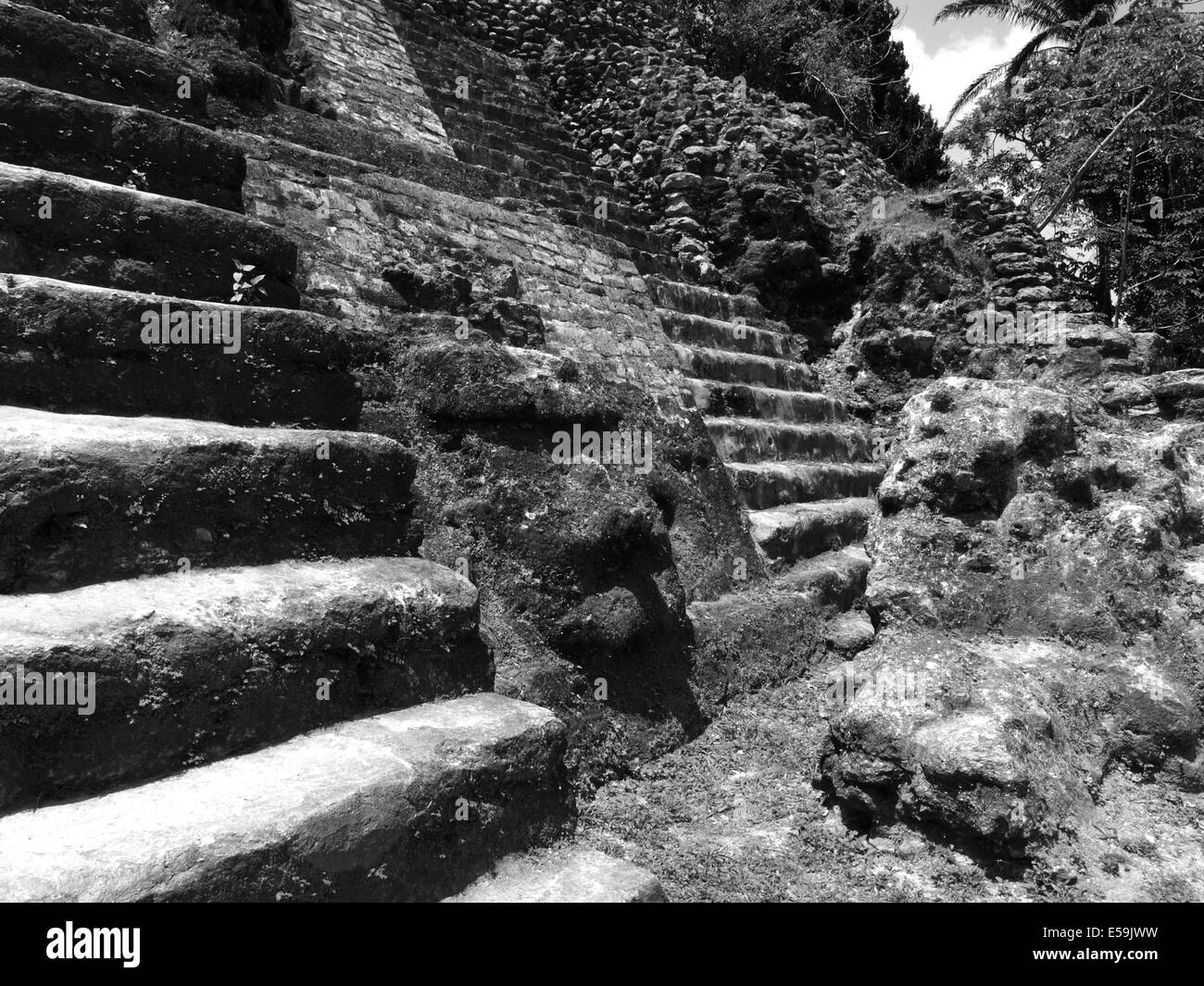 Eines der geschnitzten Gesichter auf der Seite der hohen Tempel in Lamanai in Belize Stockfoto