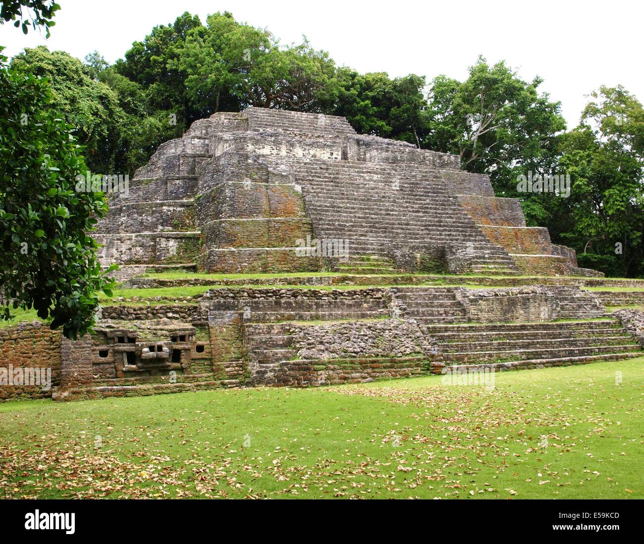 Jaguar-Tempel von Lamanai in Belize Stockfoto
