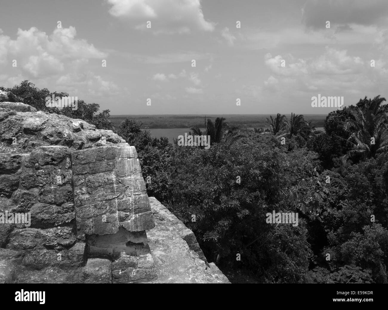Blick von der hohen Tempel von Lamanai, Belize Stockfoto