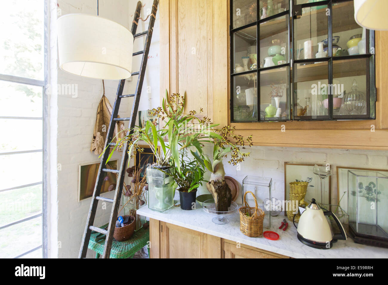 Leiter, Pflanzen und Schränke im Landhaus Stockfoto