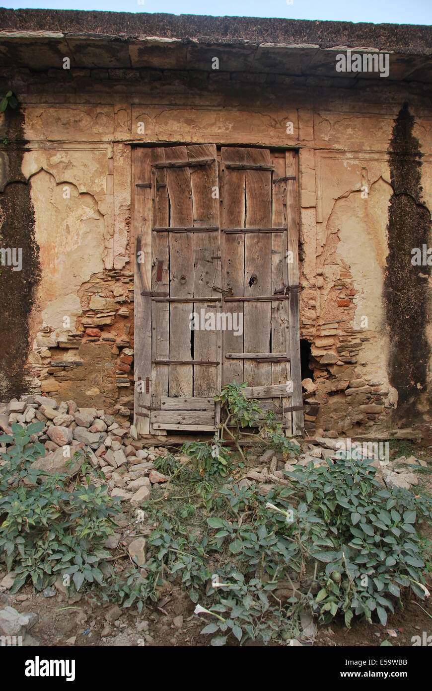 Indien. Rajasthan. Einfache Tür Dorfstruktur aufgegeben. Holz, Gips und Stein. Natürliche Farben. Pflanzen im Vordergrund. Stockfoto