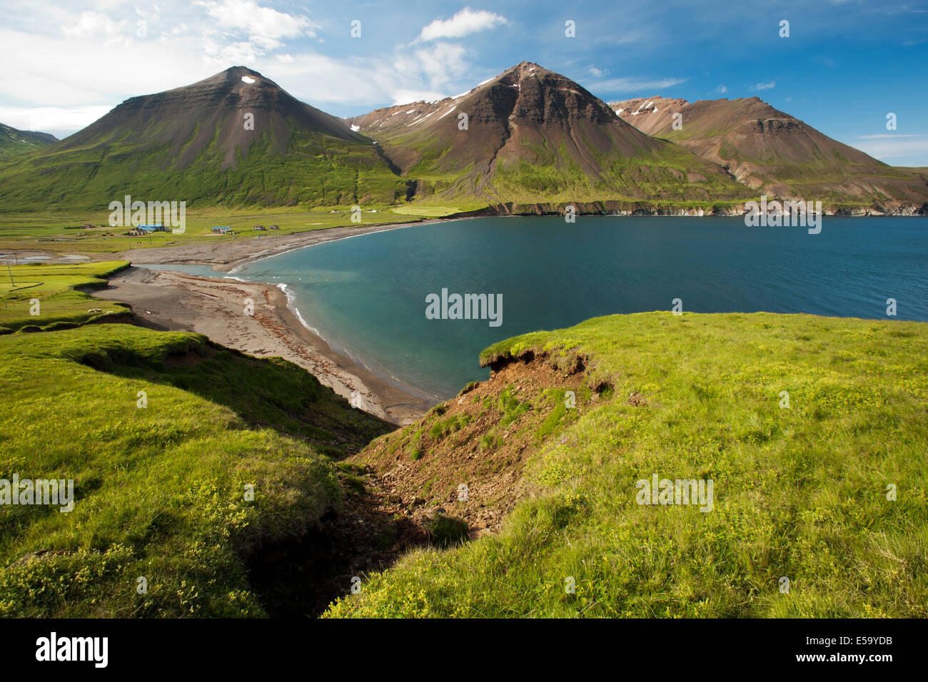Küste in der Nähe von Borgarfjordur Eystri - Bakkagerdi - East Island, Island Stockfoto