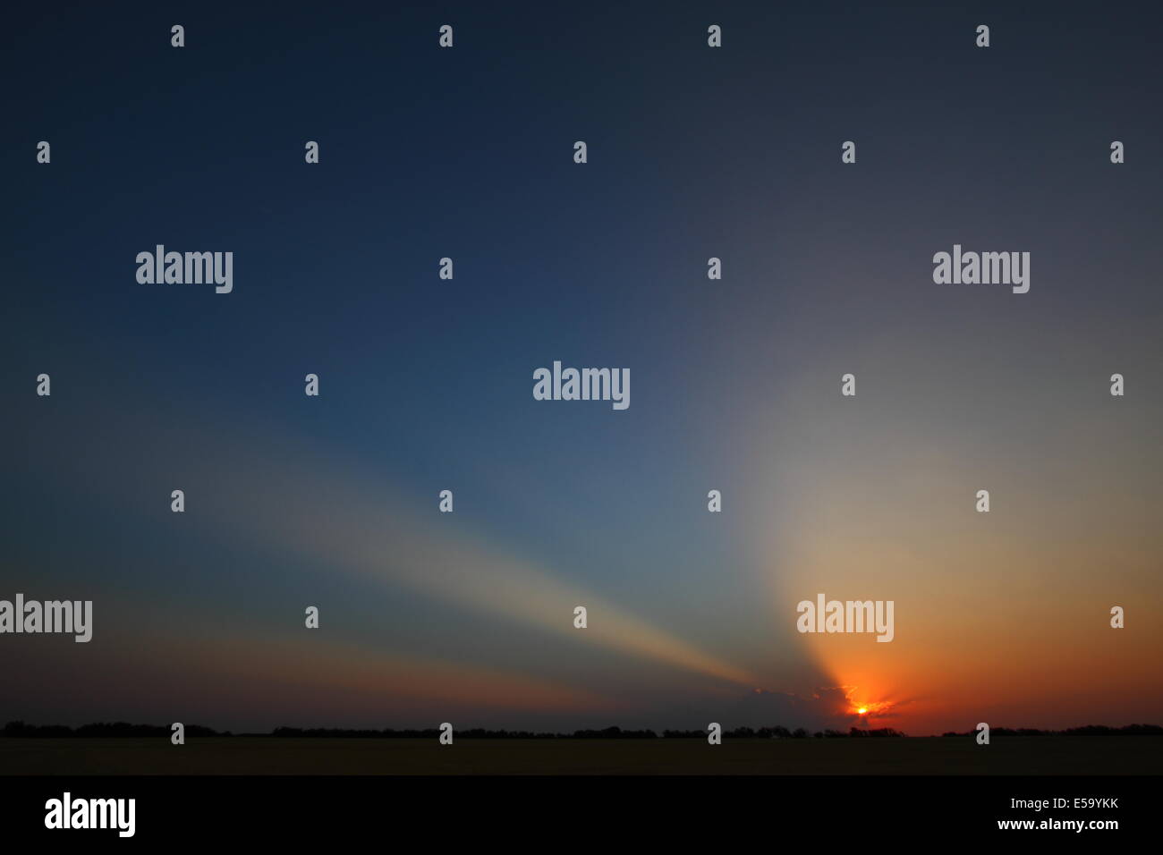 Sunrise dämmerungsaktiv Strahlen ("Gott-Balken") Strahlen durch Wolken und den Himmel über einer Texas-Weide. Stockfoto