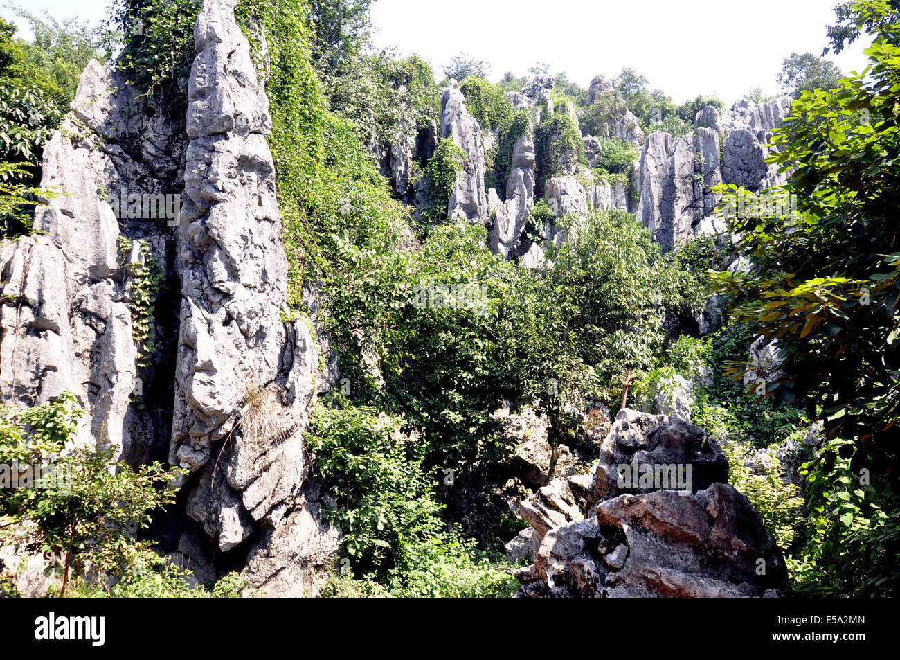 Leping, Jiangxi, CHN. 25. Sep, 2011. JIANGXI, CHINA - 22 Juli: Steinwald in Mt.Wen Leping, Jiangxi Provinz in China. Es ist eines der "Welt-Wunder der Natur '' und auch genannt Shilin. In den Steinwald, steinerne Gipfel Aufstieg abrupt aus dem Boden in zahlreichen Schichten wie Bambussprossen, Wälder und Pagoden, kommen viele Besucher einen Blick auf die einzigartigen Szenen, die von den Steinen gebildet haben. Geologen glauben, dass der Steinwald über 270 Millionen Jahre alt ist. Der Bereich verwendet, um einen Ozean zu sein. Während der langen geologischen Periode aus der Spätzeit des Perm vor 230 Millionen Jahren bis 2 Millionen Jahren Stockfoto