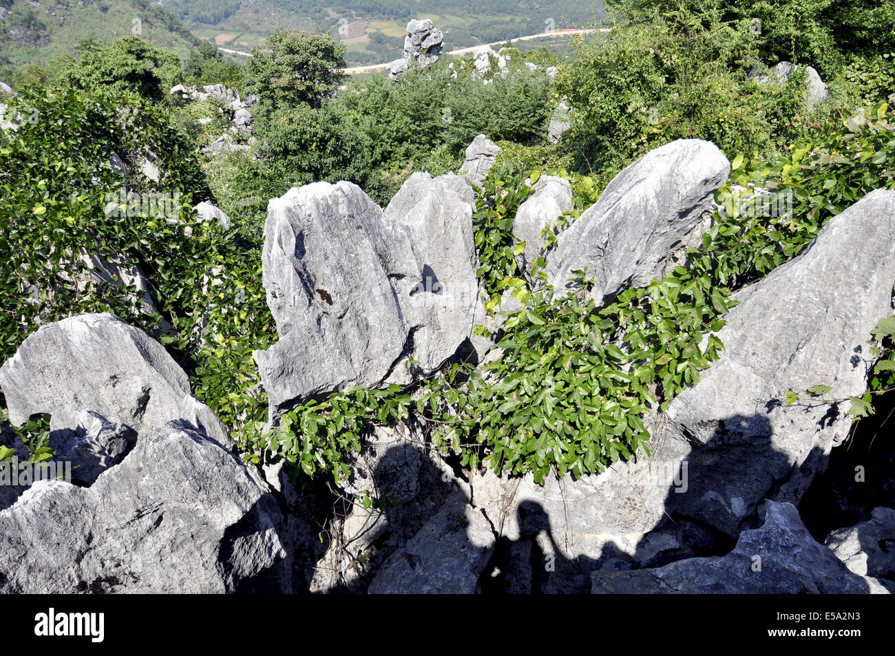 Leping, Jiangxi, CHN. 25. Sep, 2011. JIANGXI, CHINA - 22 Juli: Steinwald in Mt.Wen Leping, Jiangxi Provinz in China. Es ist eines der "Welt-Wunder der Natur '' und auch genannt Shilin. In den Steinwald, steinerne Gipfel Aufstieg abrupt aus dem Boden in zahlreichen Schichten wie Bambussprossen, Wälder und Pagoden, kommen viele Besucher einen Blick auf die einzigartigen Szenen, die von den Steinen gebildet haben. Geologen glauben, dass der Steinwald über 270 Millionen Jahre alt ist. Der Bereich verwendet, um einen Ozean zu sein. Während der langen geologischen Periode aus der Spätzeit des Perm vor 230 Millionen Jahren bis 2 Millionen Jahren Stockfoto