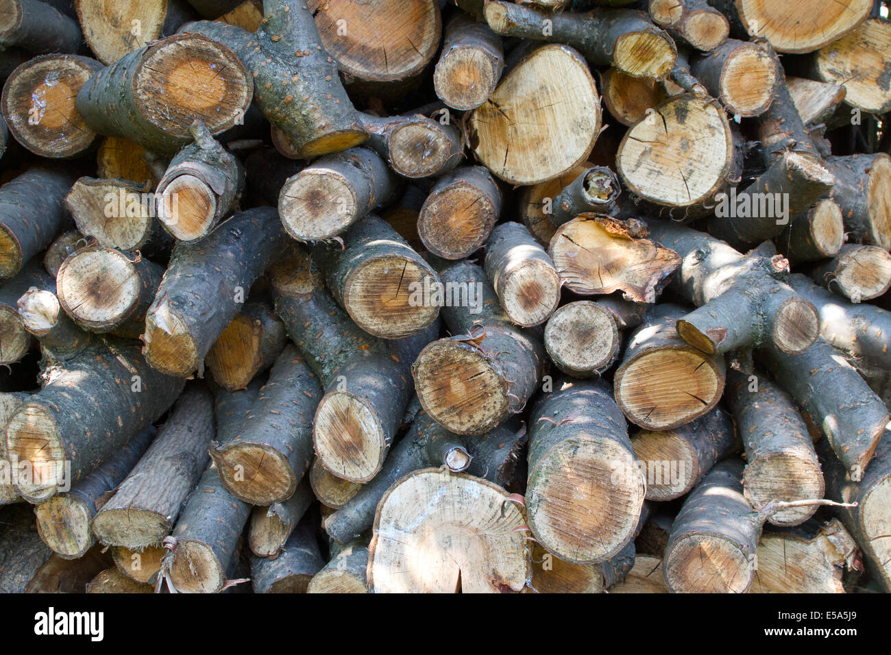 Alternativer Brennstoff-Baumstamme gestapelt in einem Log-Speicher. Stockfoto