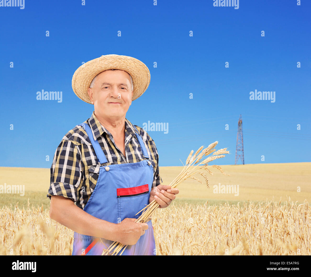 Reife Landarbeiter mit Weizen Strohhalme in ein Feld Stockfoto