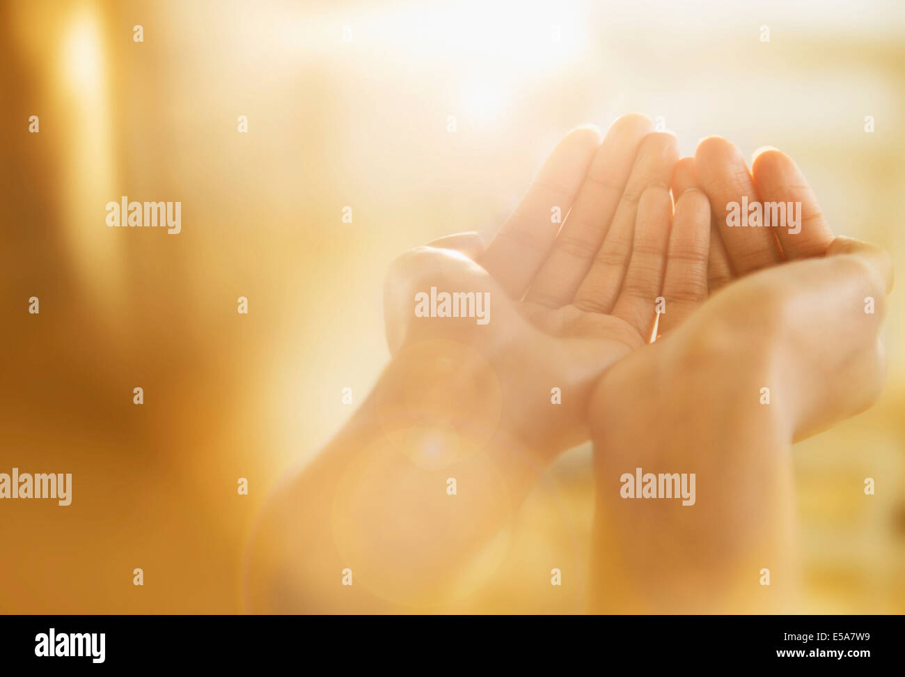 Gemischte Rassen Frau heraus hohlen Hand halten Stockfoto