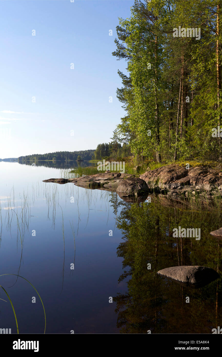 Seenlandschaft im Sommer in Finnland Stockfoto