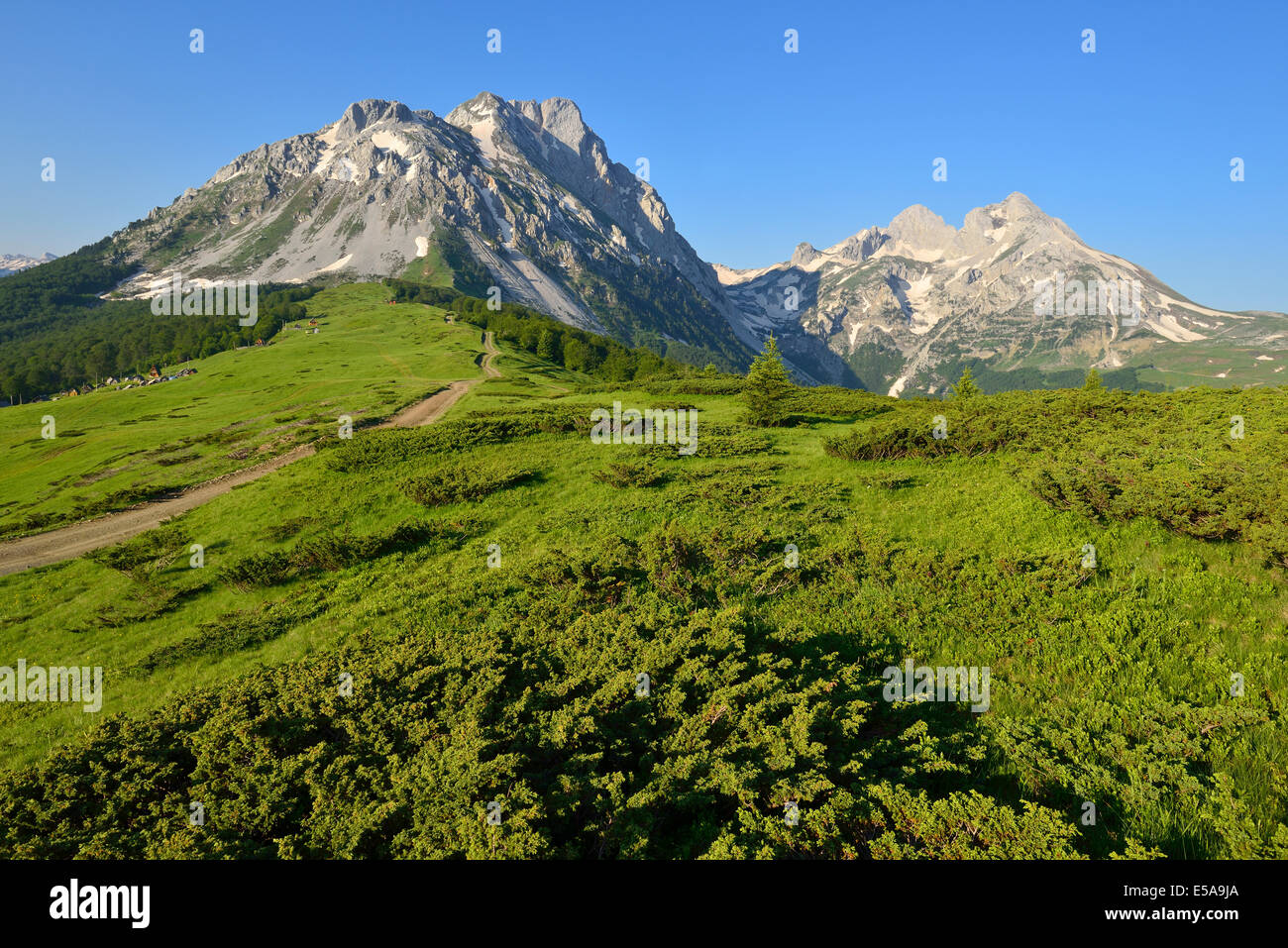 Komovi Gebirge, Crna Gora, Montenegro Stockfoto