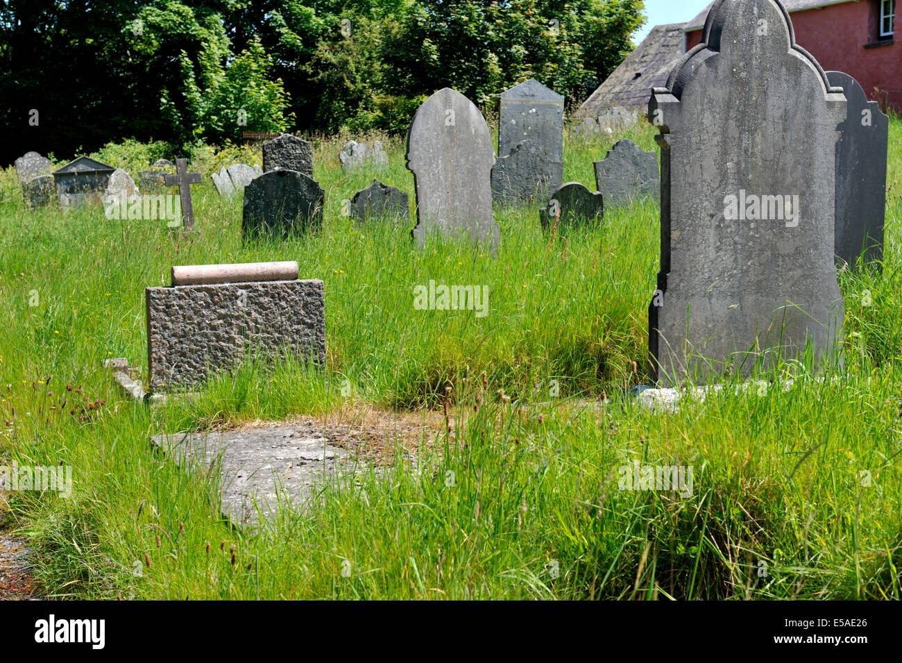 Überwuchert und verlassenen Friedhof, Wales Stockfoto