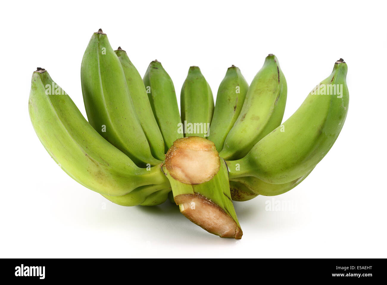 Grüne Bananen Stockfoto
