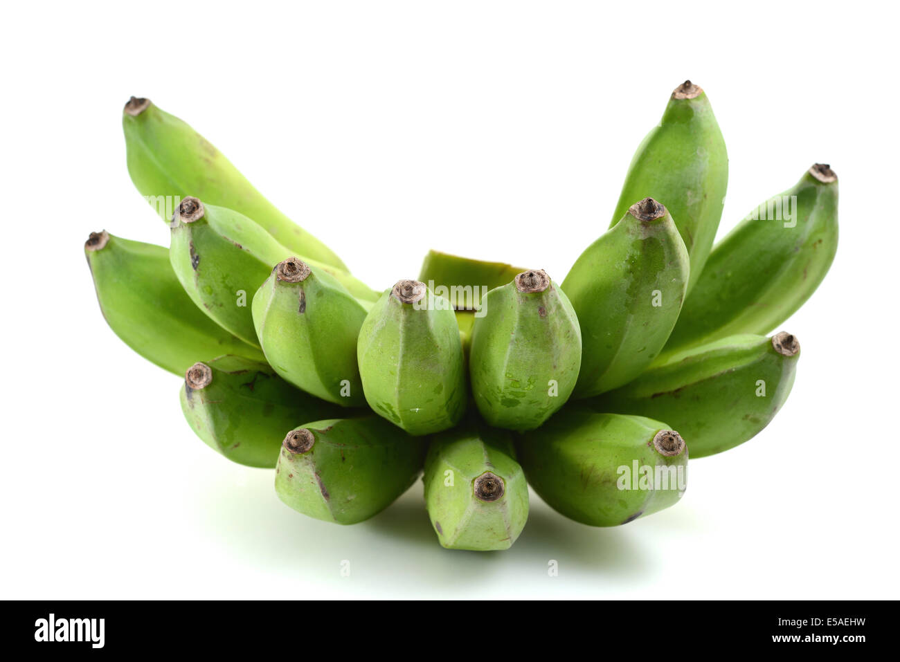 Grüne Bananen Stockfoto