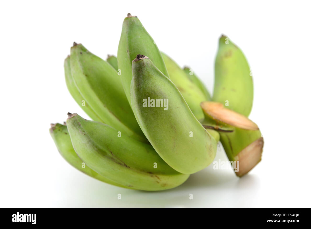 Grüne Bananen Stockfoto