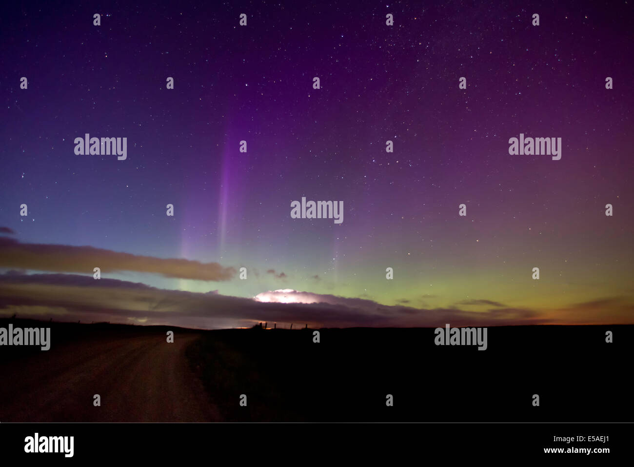 Ein atemberaubendes Schauspiel der Nordlichter (aurora borealis) in Grün und Violett mit einem Blitz über einer Landstraße in Alberta, Kanada Stockfoto