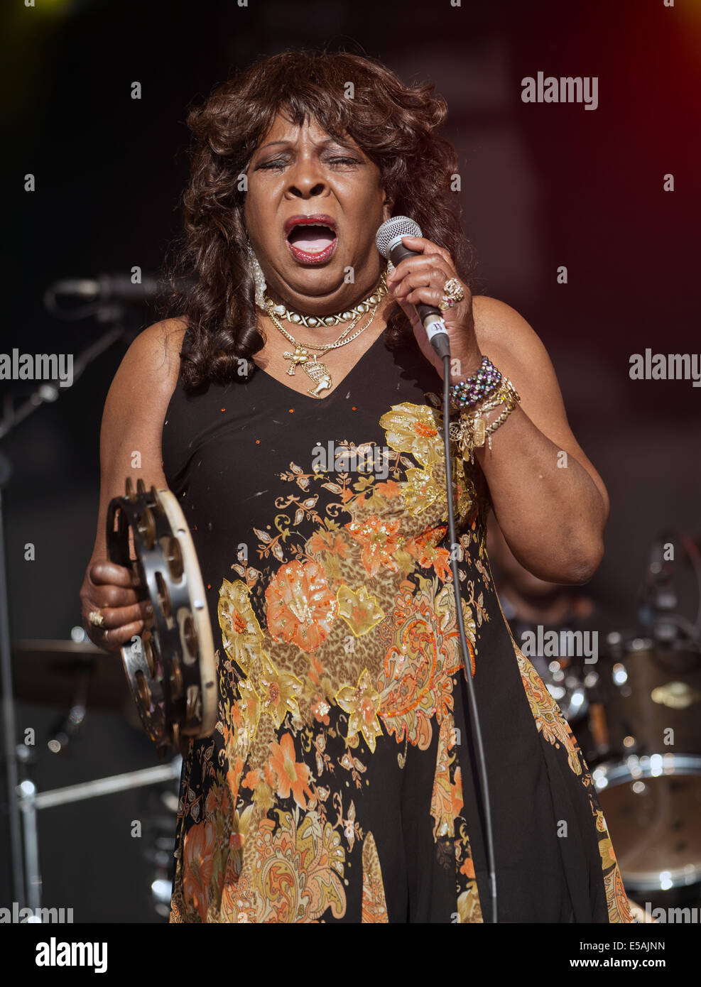 Dundrennan, UK. 25. Juli 2014.  Martha Reeves von Martha und das Vandellas führt auf der Bühne am Tag 1 des Weidenmanns Festival am 25. Juli 2014 in Dundrennan, Schottland. Bildnachweis: Sam Kovak/Alamy Live-Nachrichten Stockfoto