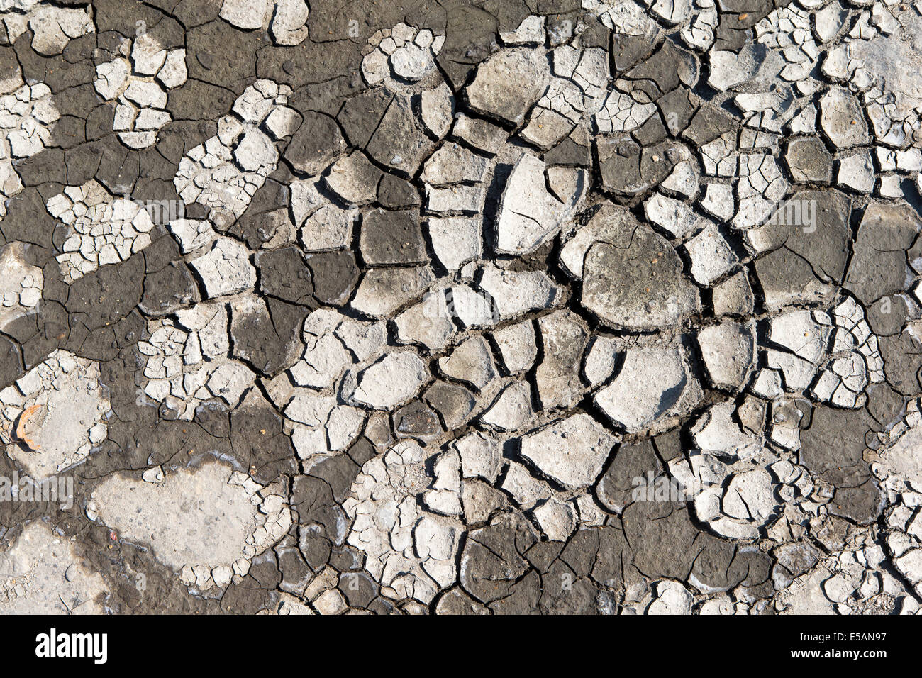 Abstrakte Muster erstellt durch Trocknen Schlamm Stockfoto