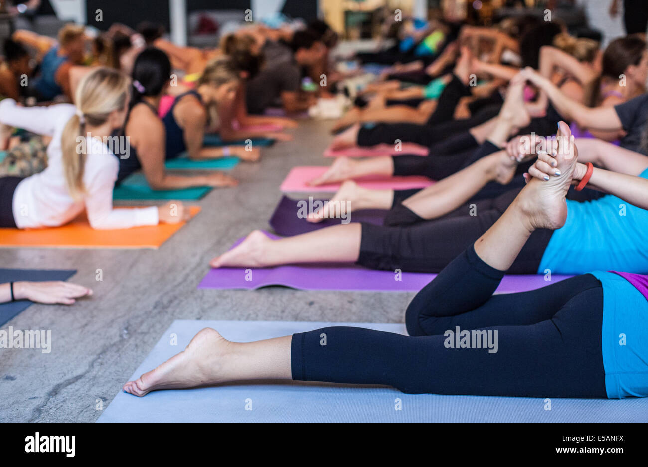 Gesamtansicht einer großen Yoga-Klasse in Aktion. Stockfoto