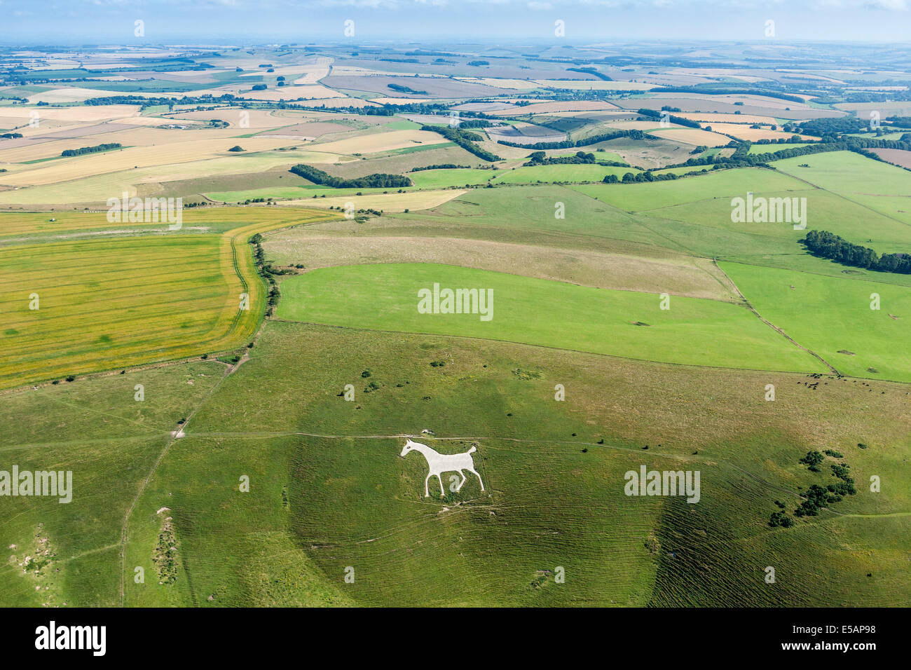 Luftaufnahme von Alton Barnes White Horse, Milk Hill, in der Nähe von Pewsey, Wiltshire, UK. JMH6186 Stockfoto